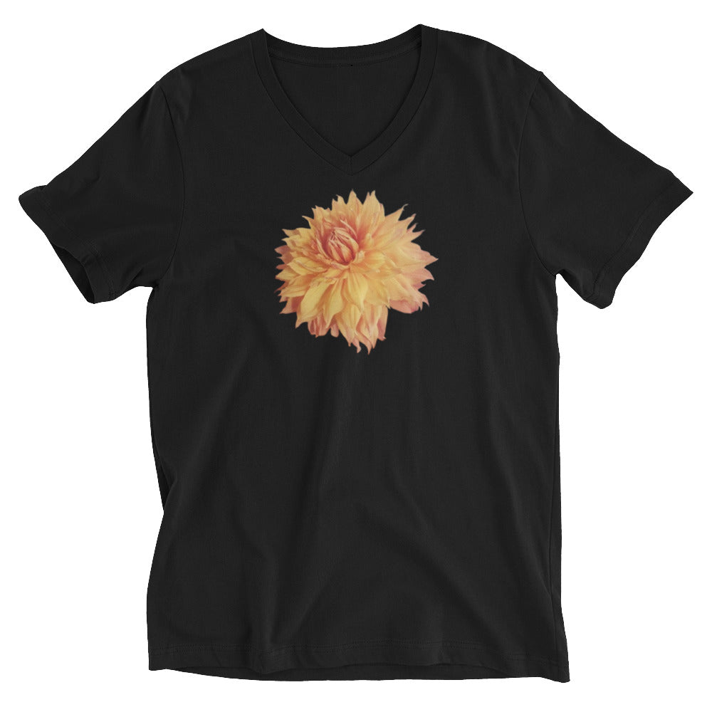 Dahlia Short Sleeve V-Neck T-Shirt (Black and White)